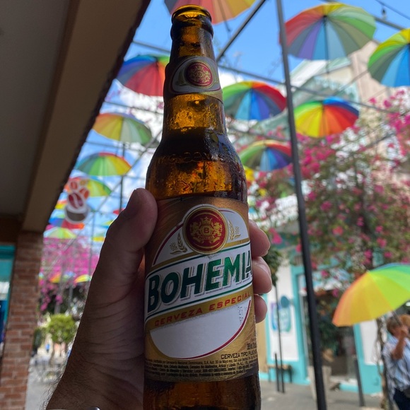 Meet your Posher, Paul - Picture 2 of 3